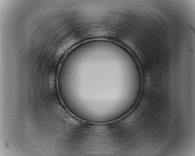 X0000102370778200808081152