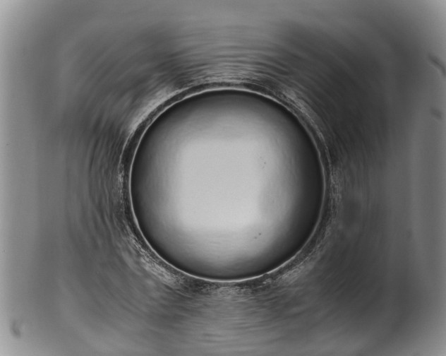 X0000102370779200808081152