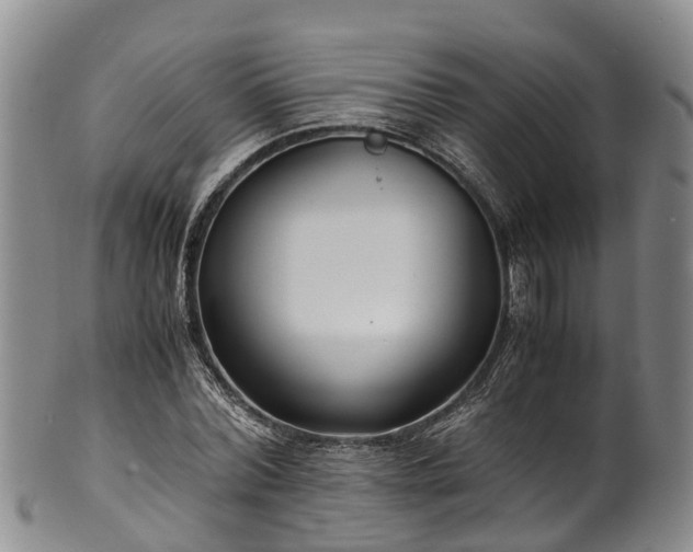 X0000102370780200808081151