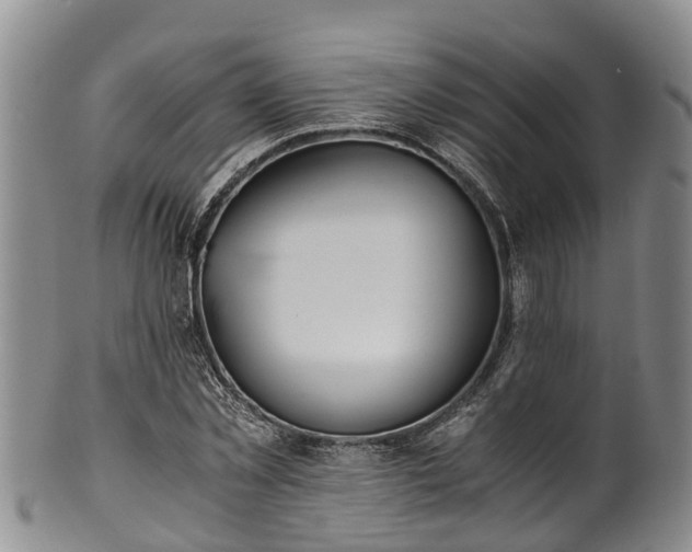 X0000102370781200808081151