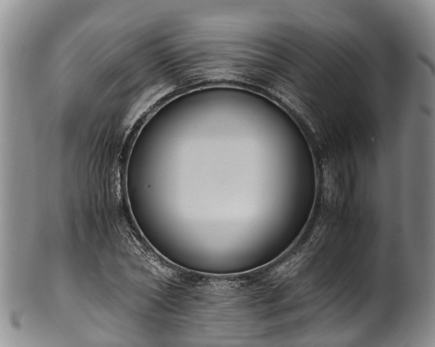 X0000102370782200808081151