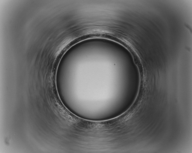 X0000102370783200808081151