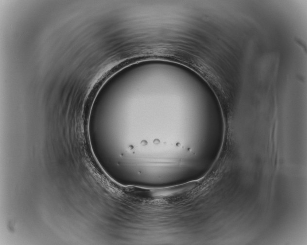 X0000102370784200808081151