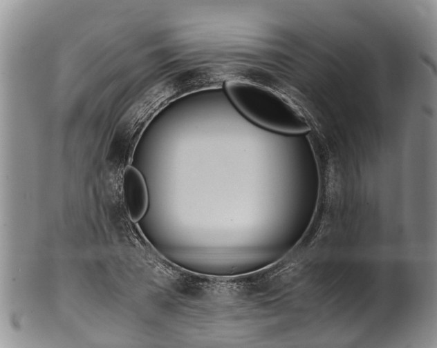 X0000102370785200808081151