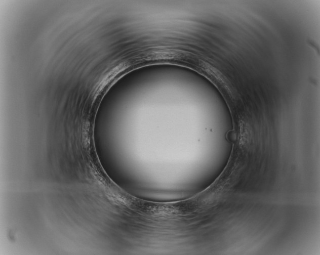 X0000102370786200808081151