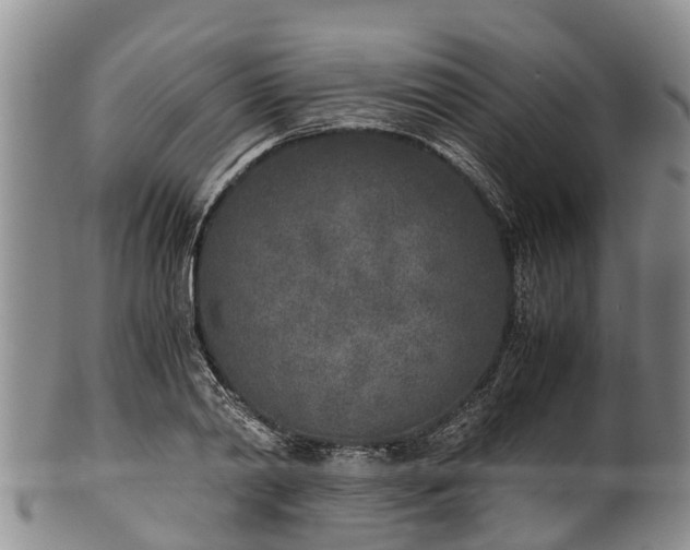 X0000102370790200808081151