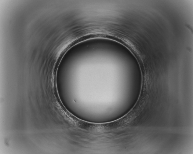 X0000102370791200808081151