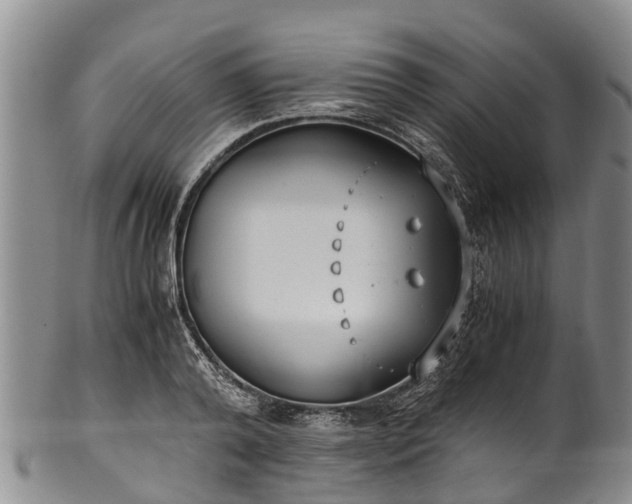 X0000102370792200808081151