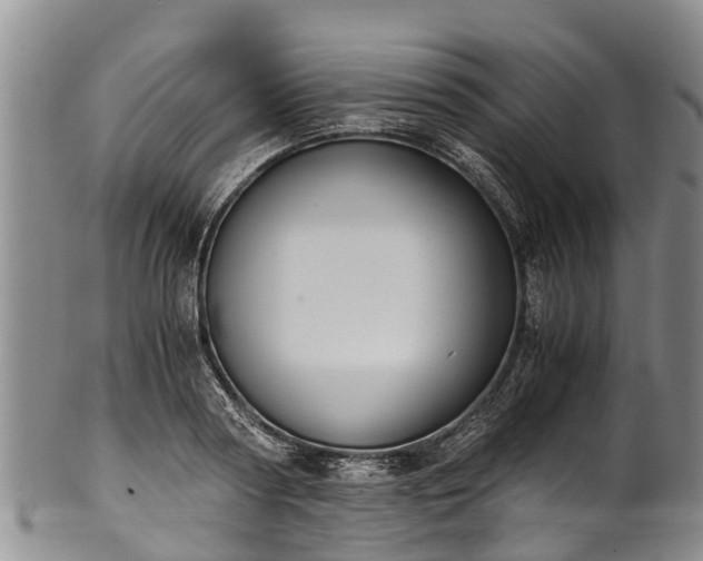 X0000102370794200808081151