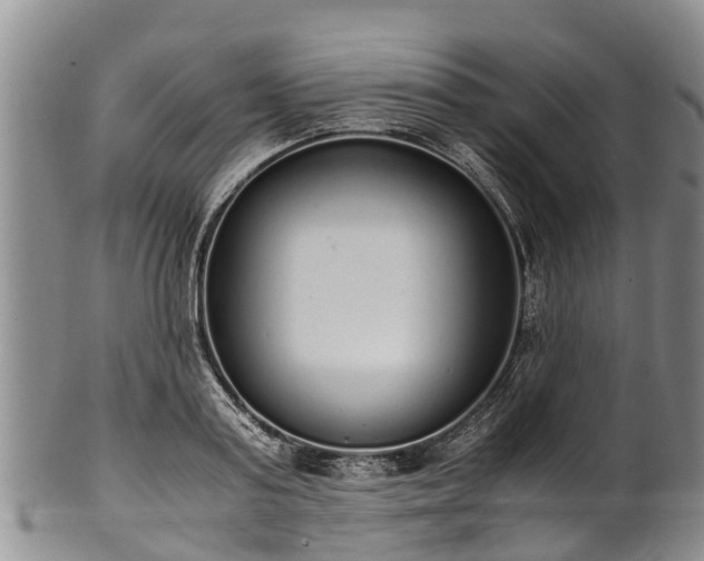 X0000102370795200808081151