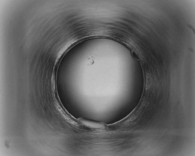 X0000102370796200808081151