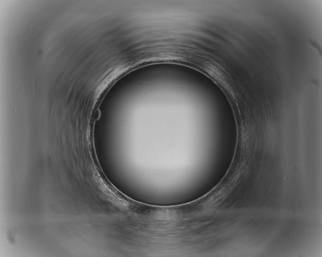 X0000102370797200808081151