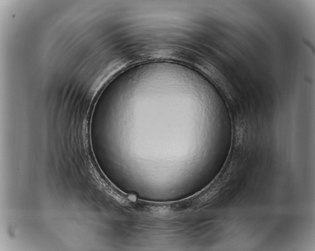 X0000102370798200808081151