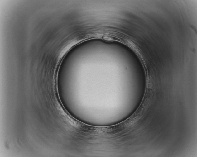 X0000102370803200808081151