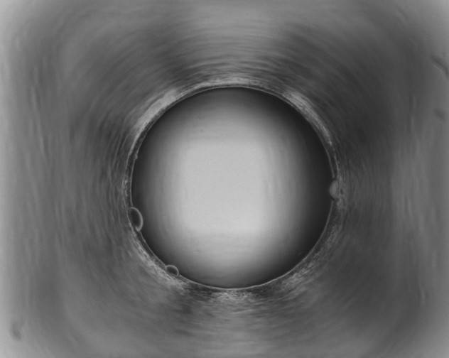 X0000102370805200808081151