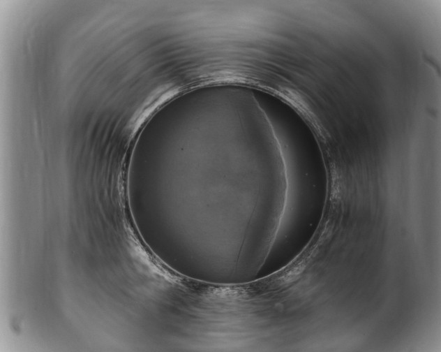 X0000102370806200808081151