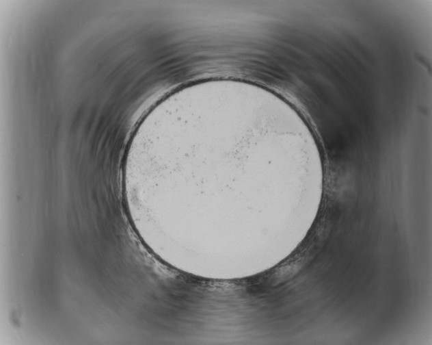 X0000102370807200808081151