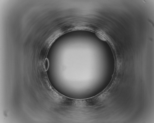 X0000102370809200808081151