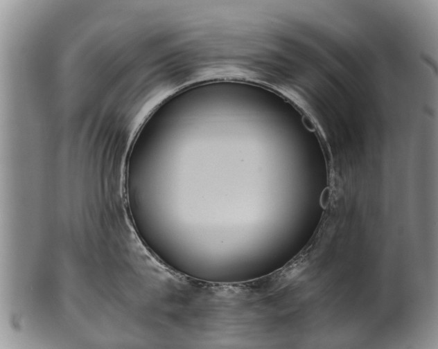 X0000102370815200808081151