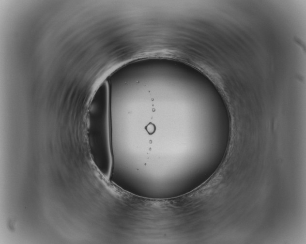 X0000102370816200808081151