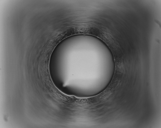 X0000102370817200808081150