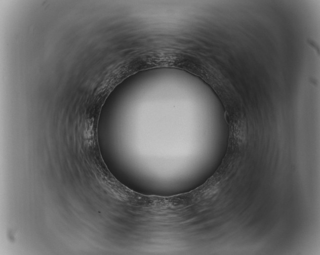 X0000102370818200808081150