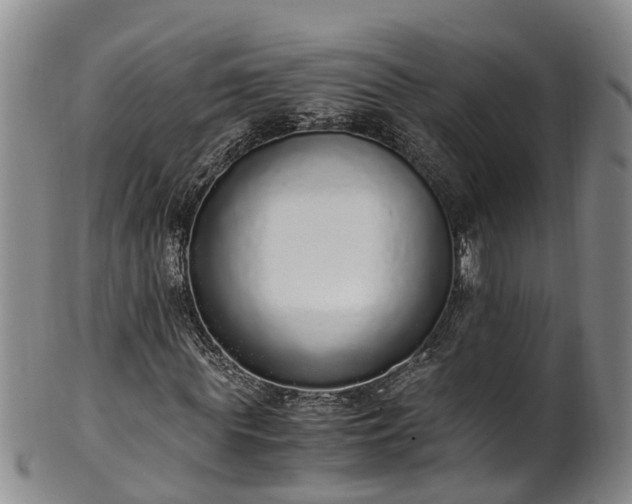 X0000102370819200808081150