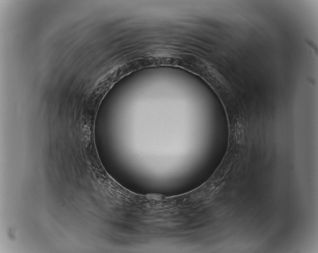 X0000102370821200808081150