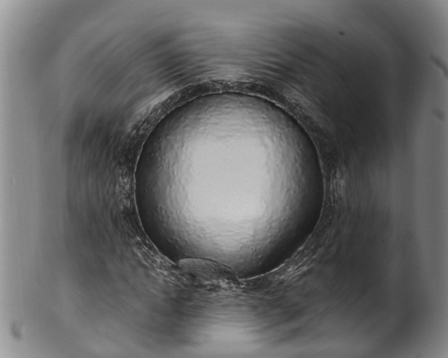 X0000102370822200808081150