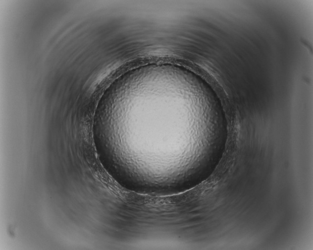 X0000102370823200808081150