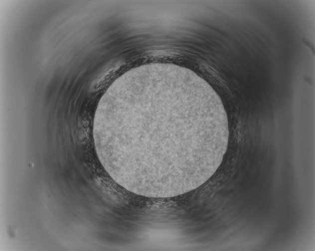 X0000102370824200808081150