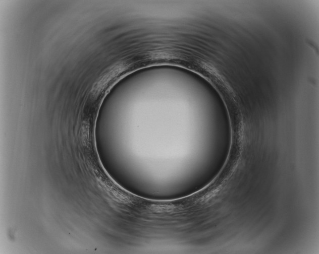 X0000102370825200808081150