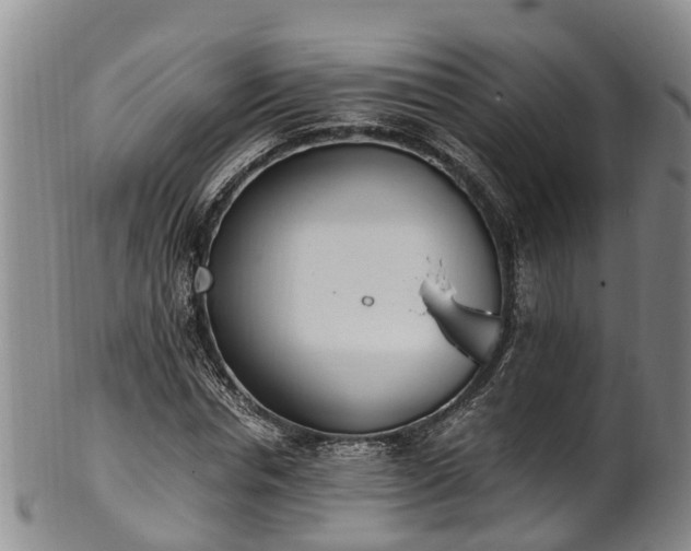 X0000102370826200808081150