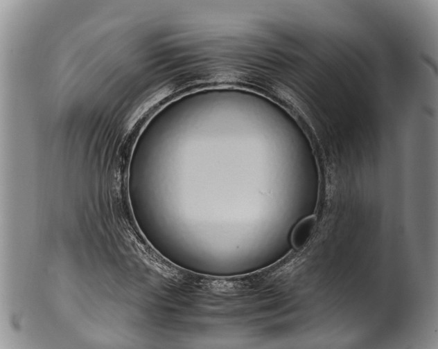 X0000102370827200808081150