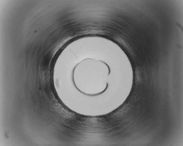 X0000102370828200808081150