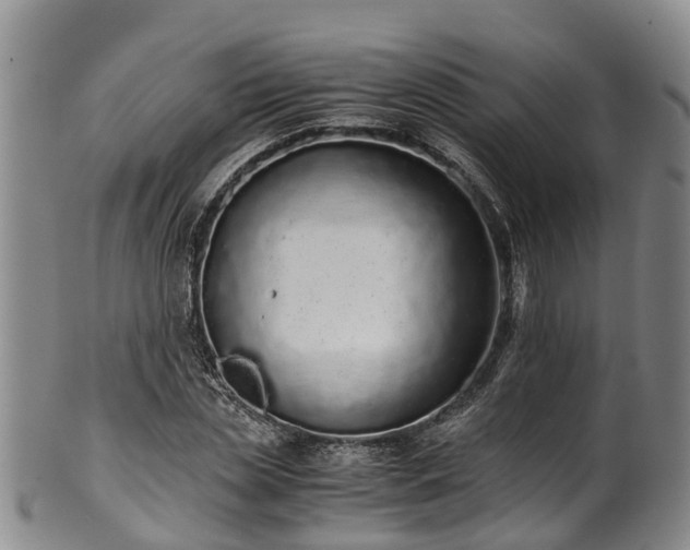 X0000102370829200808081150