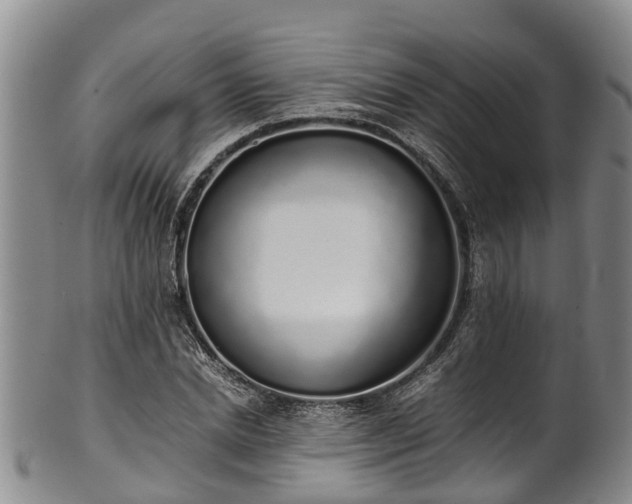 X0000102370830200808081151