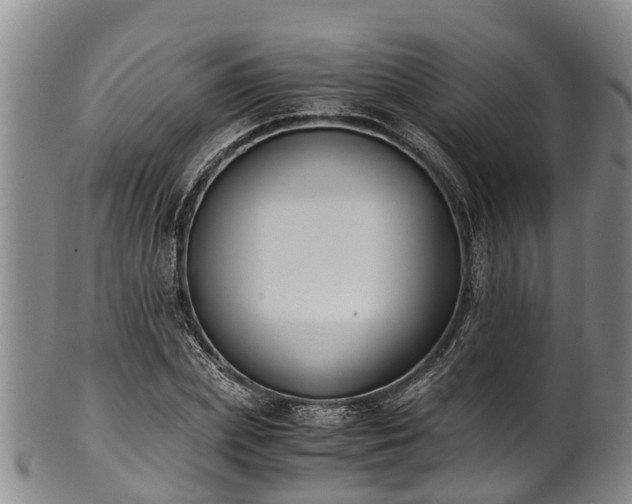 X0000102370831200808081151