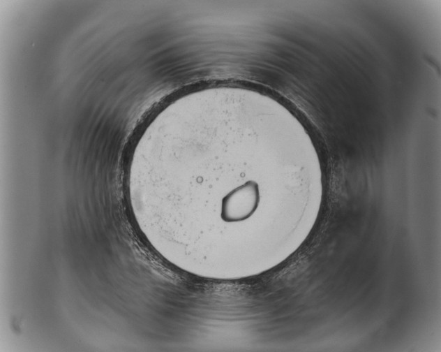 X0000102370832200808081151