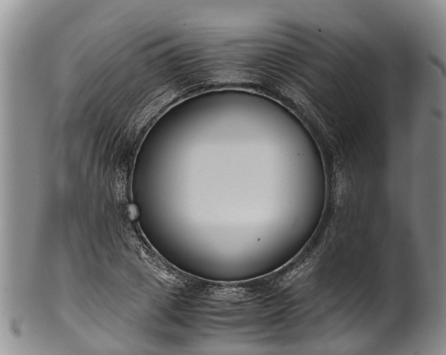 X0000102370833200808081151