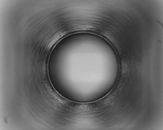 X0000102370834200808081151