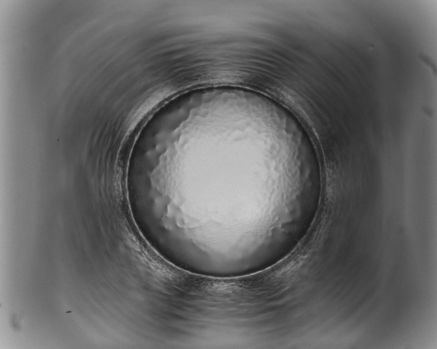 X0000102370835200808081151