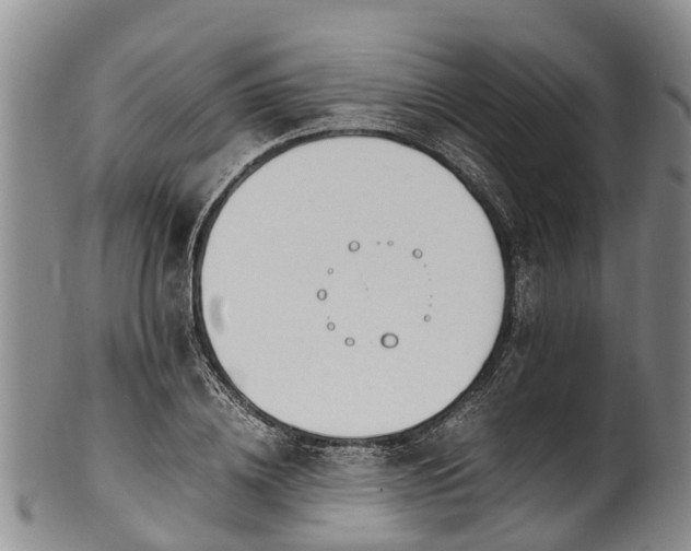 X0000102370836200808081151