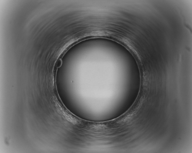 X0000102370837200808081151