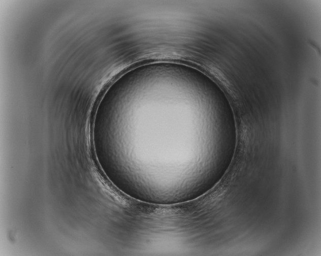 X0000102370840200808081151