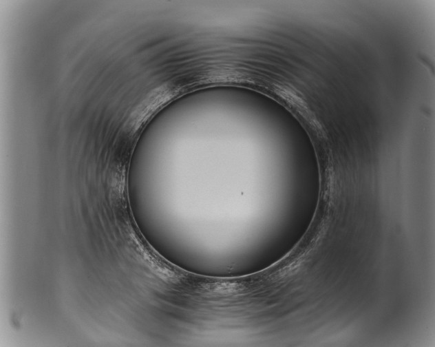 X0000102370841200808081151