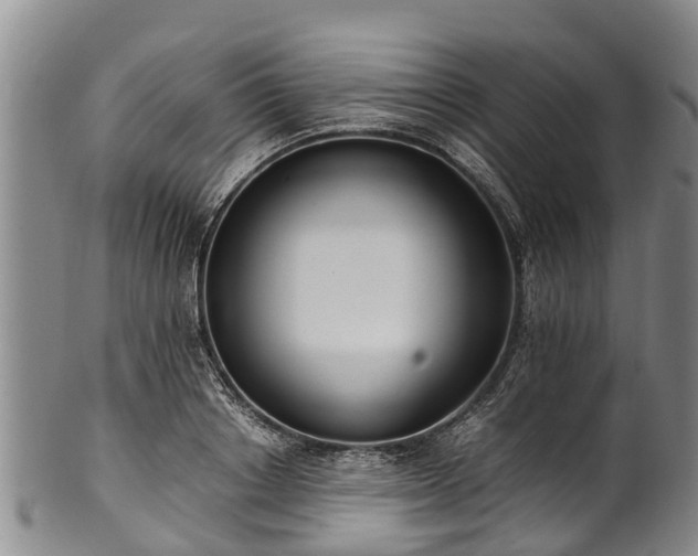 X0000102370842200808081151