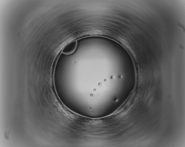 X0000102370845200808081151