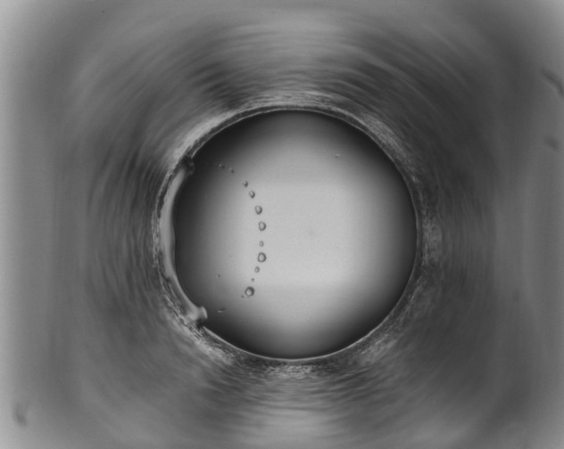 X0000102370846200808081151