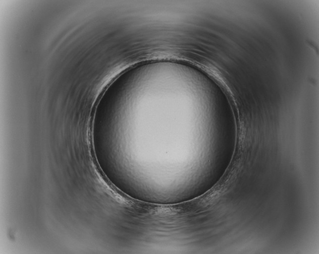 X0000102370847200808081151